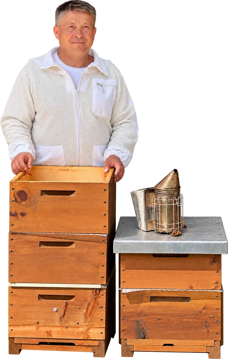 Der Imker in Schutzjacke bei seinen Bienenbeuten